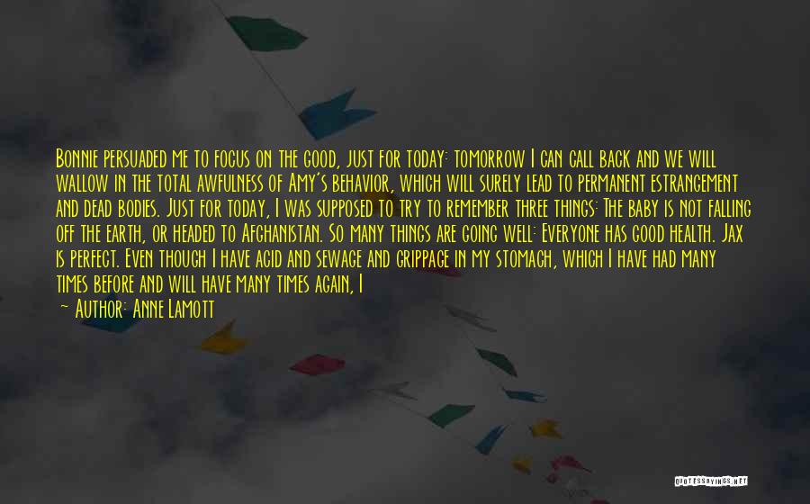 Anne Lamott Quotes: Bonnie Persuaded Me To Focus On The Good, Just For Today: Tomorrow I Can Call Back And We Will Wallow