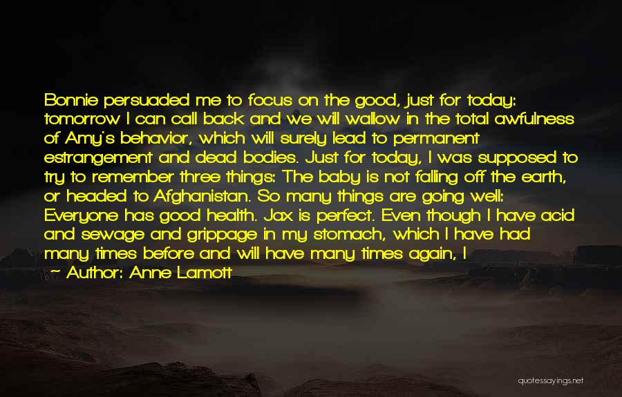 Anne Lamott Quotes: Bonnie Persuaded Me To Focus On The Good, Just For Today: Tomorrow I Can Call Back And We Will Wallow