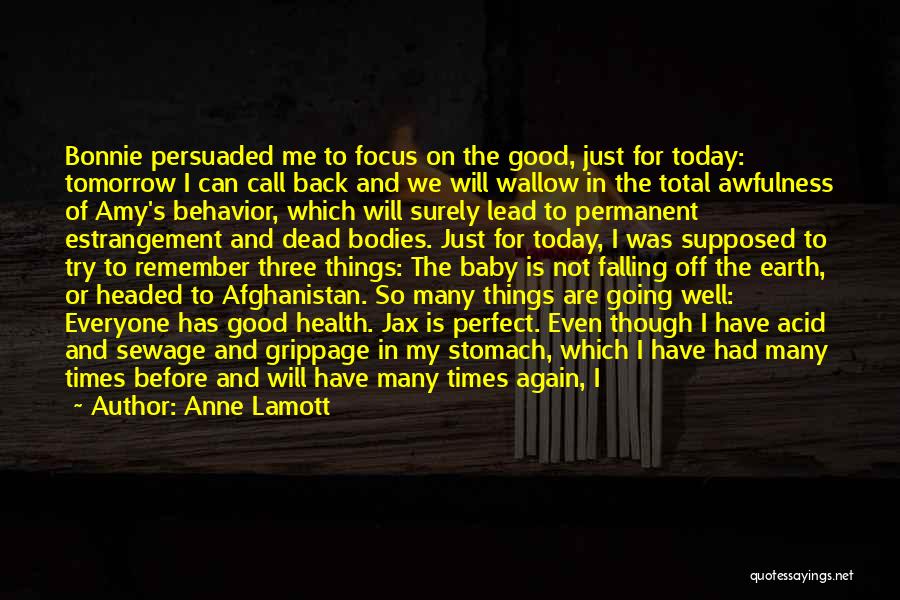 Anne Lamott Quotes: Bonnie Persuaded Me To Focus On The Good, Just For Today: Tomorrow I Can Call Back And We Will Wallow