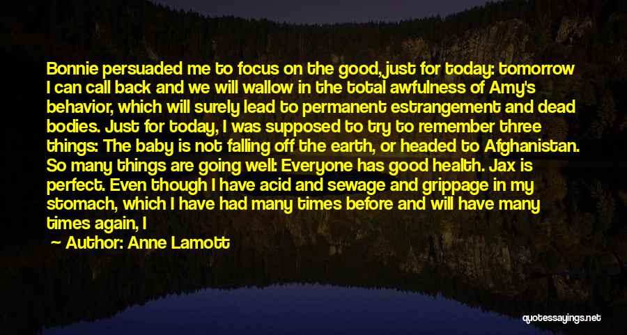 Anne Lamott Quotes: Bonnie Persuaded Me To Focus On The Good, Just For Today: Tomorrow I Can Call Back And We Will Wallow