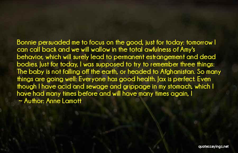 Anne Lamott Quotes: Bonnie Persuaded Me To Focus On The Good, Just For Today: Tomorrow I Can Call Back And We Will Wallow