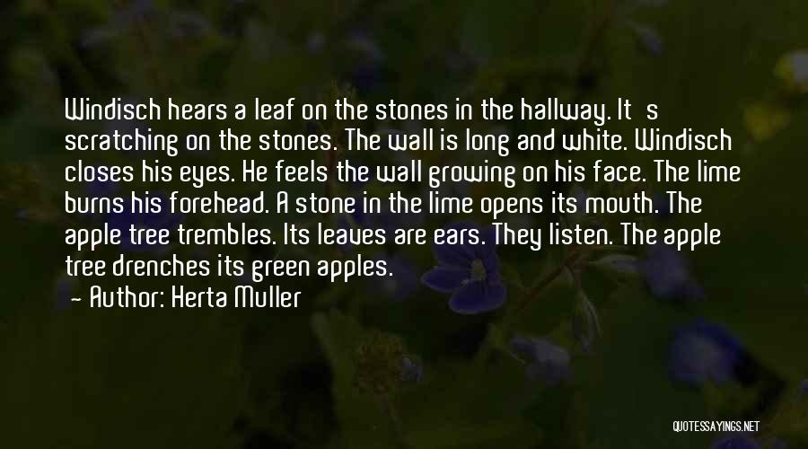 Herta Muller Quotes: Windisch Hears A Leaf On The Stones In The Hallway. It's Scratching On The Stones. The Wall Is Long And