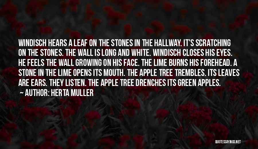 Herta Muller Quotes: Windisch Hears A Leaf On The Stones In The Hallway. It's Scratching On The Stones. The Wall Is Long And