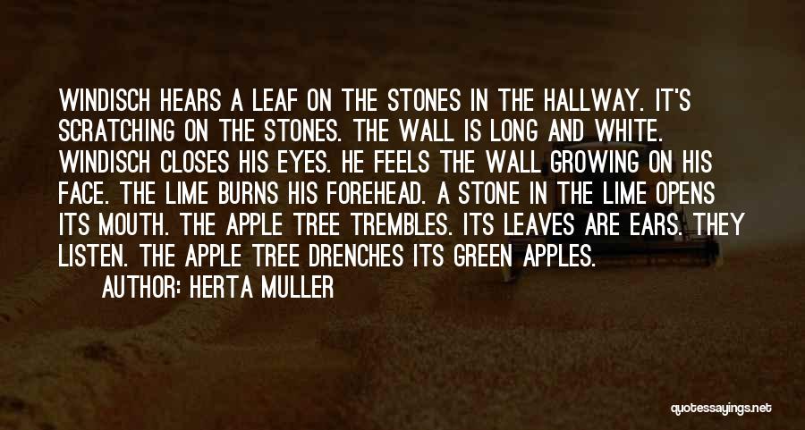 Herta Muller Quotes: Windisch Hears A Leaf On The Stones In The Hallway. It's Scratching On The Stones. The Wall Is Long And