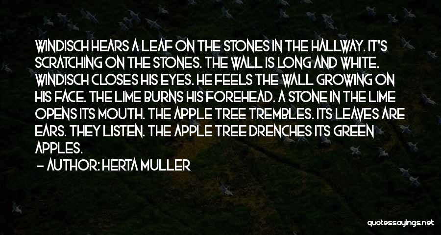 Herta Muller Quotes: Windisch Hears A Leaf On The Stones In The Hallway. It's Scratching On The Stones. The Wall Is Long And