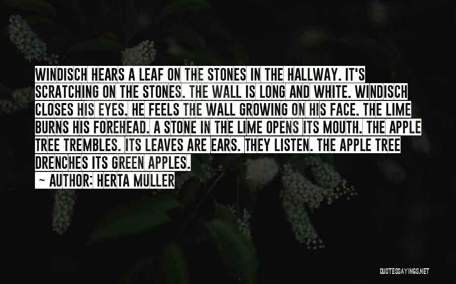 Herta Muller Quotes: Windisch Hears A Leaf On The Stones In The Hallway. It's Scratching On The Stones. The Wall Is Long And