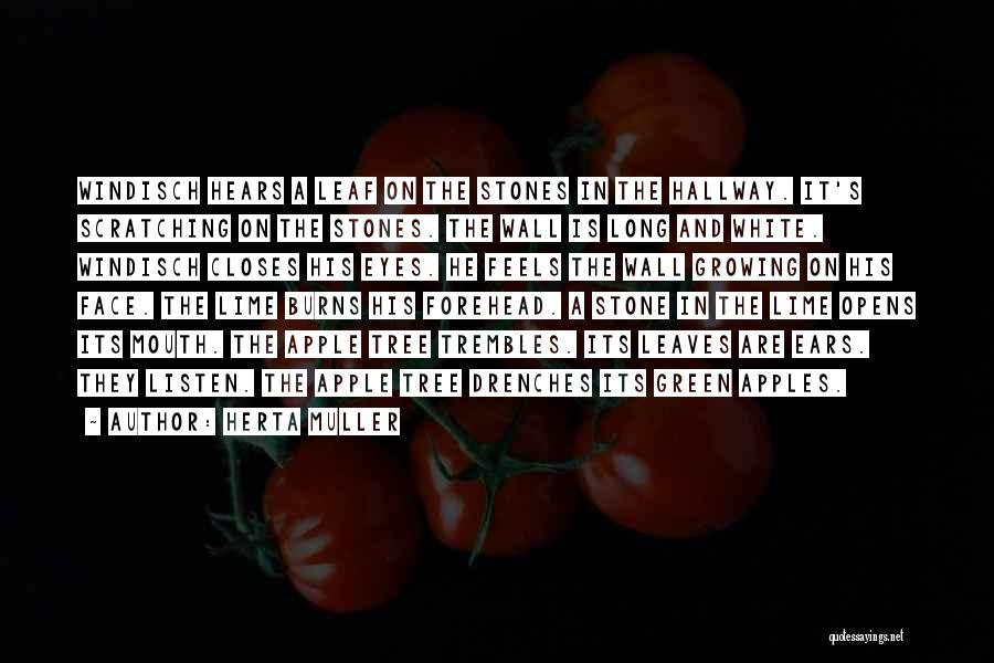 Herta Muller Quotes: Windisch Hears A Leaf On The Stones In The Hallway. It's Scratching On The Stones. The Wall Is Long And