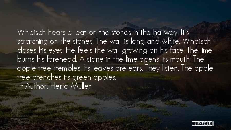 Herta Muller Quotes: Windisch Hears A Leaf On The Stones In The Hallway. It's Scratching On The Stones. The Wall Is Long And