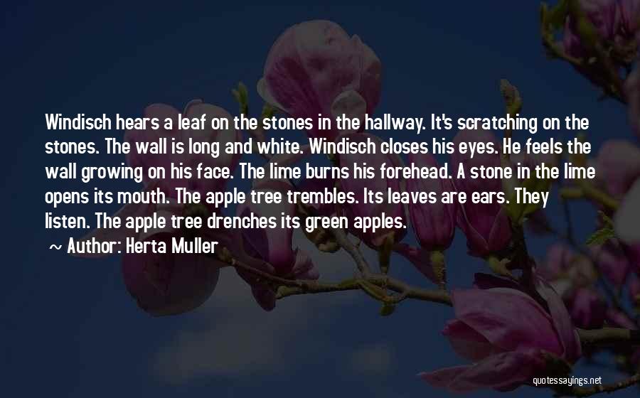 Herta Muller Quotes: Windisch Hears A Leaf On The Stones In The Hallway. It's Scratching On The Stones. The Wall Is Long And