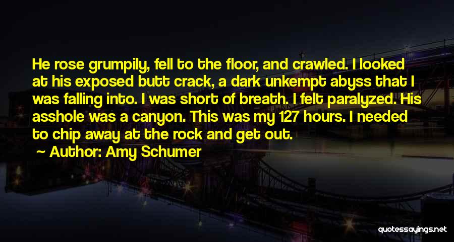 127 Hours Quotes By Amy Schumer