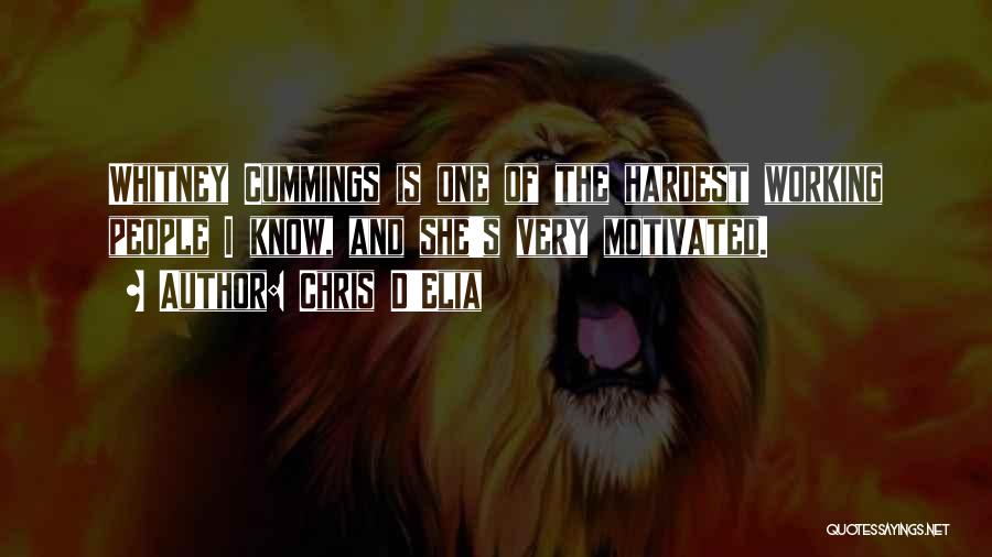 Chris D'Elia Quotes: Whitney Cummings Is One Of The Hardest Working People I Know, And She's Very Motivated.