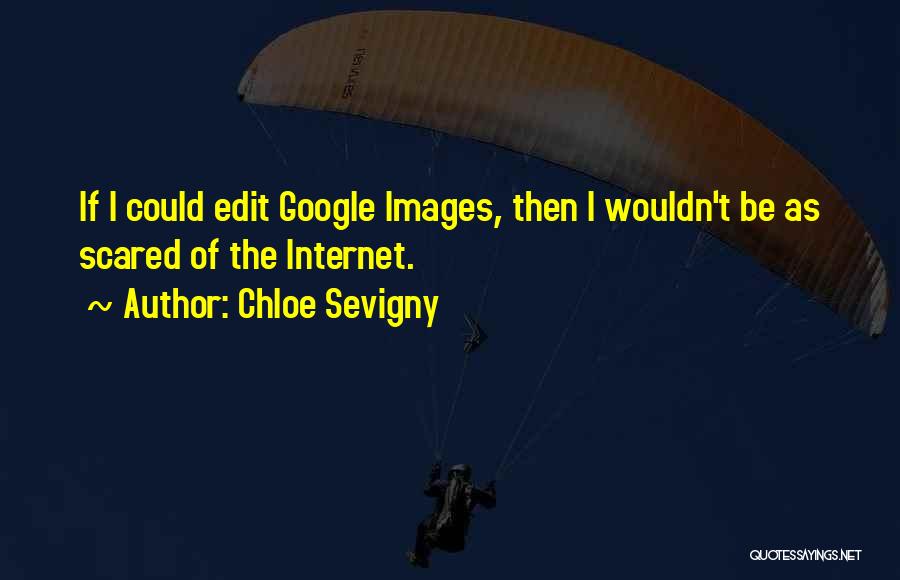 Chloe Sevigny Quotes: If I Could Edit Google Images, Then I Wouldn't Be As Scared Of The Internet.