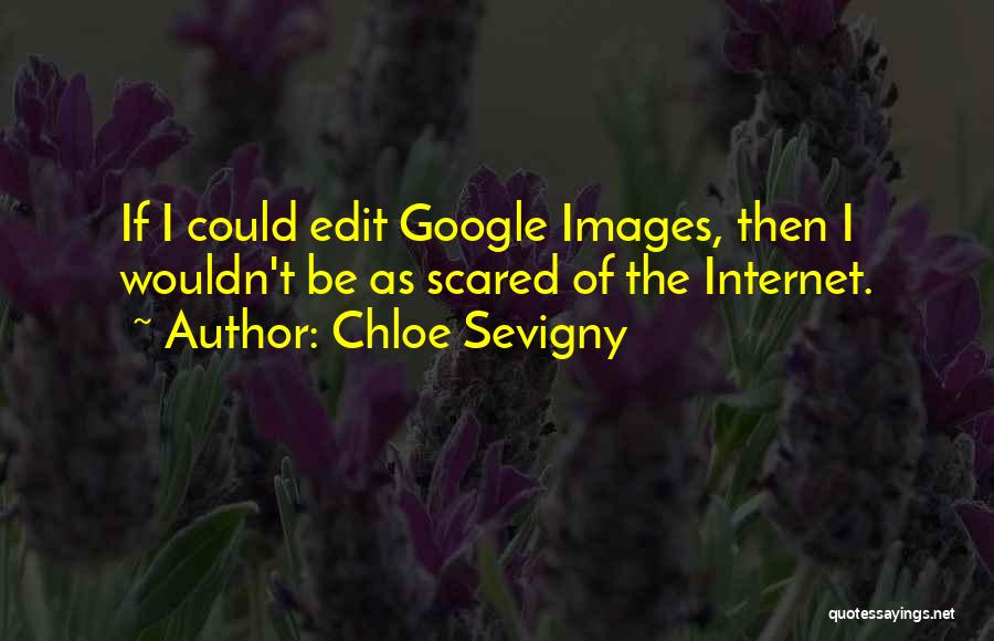 Chloe Sevigny Quotes: If I Could Edit Google Images, Then I Wouldn't Be As Scared Of The Internet.