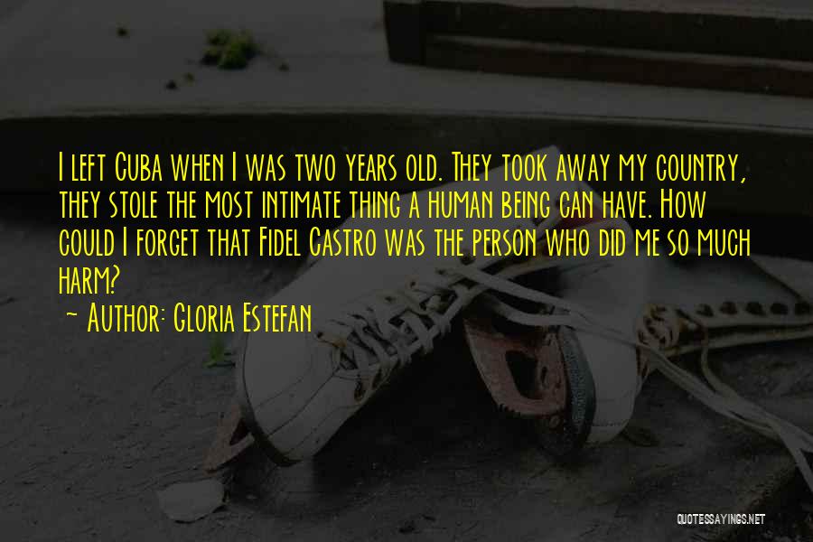 Gloria Estefan Quotes: I Left Cuba When I Was Two Years Old. They Took Away My Country, They Stole The Most Intimate Thing