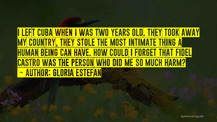 Gloria Estefan Quotes: I Left Cuba When I Was Two Years Old. They Took Away My Country, They Stole The Most Intimate Thing