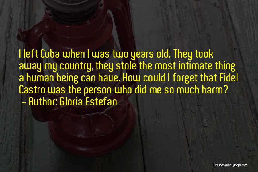 Gloria Estefan Quotes: I Left Cuba When I Was Two Years Old. They Took Away My Country, They Stole The Most Intimate Thing