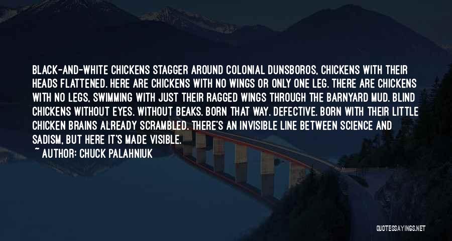 Chuck Palahniuk Quotes: Black-and-white Chickens Stagger Around Colonial Dunsboros, Chickens With Their Heads Flattened. Here Are Chickens With No Wings Or Only One