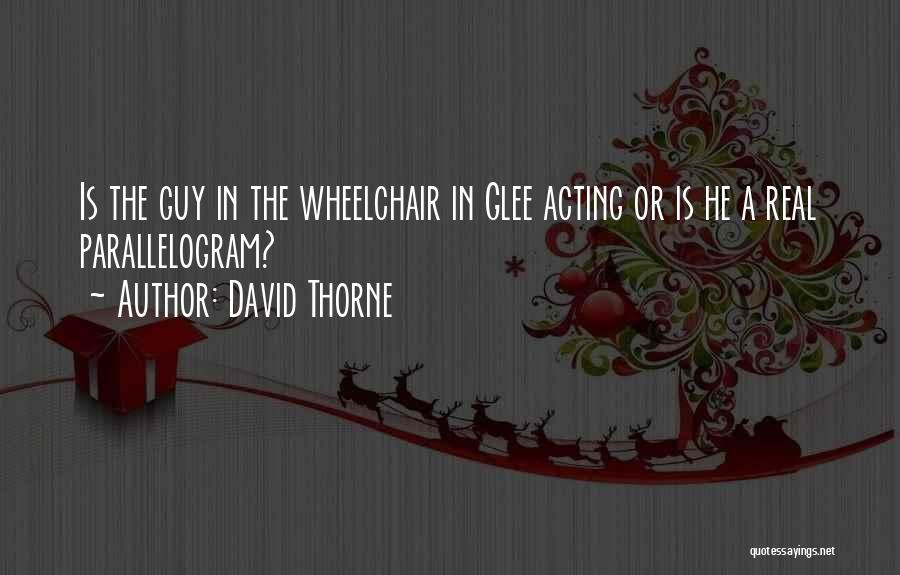 David Thorne Quotes: Is The Guy In The Wheelchair In Glee Acting Or Is He A Real Parallelogram?