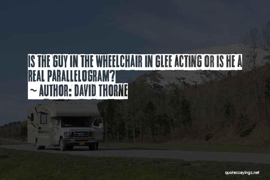 David Thorne Quotes: Is The Guy In The Wheelchair In Glee Acting Or Is He A Real Parallelogram?