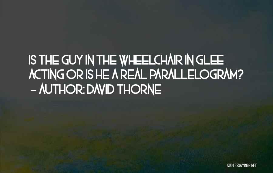 David Thorne Quotes: Is The Guy In The Wheelchair In Glee Acting Or Is He A Real Parallelogram?