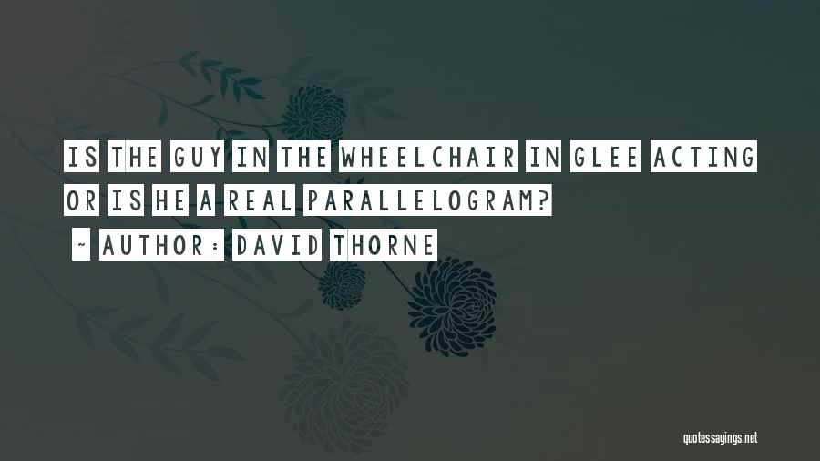 David Thorne Quotes: Is The Guy In The Wheelchair In Glee Acting Or Is He A Real Parallelogram?