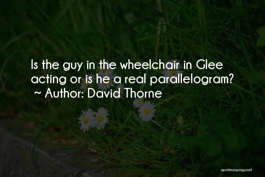 David Thorne Quotes: Is The Guy In The Wheelchair In Glee Acting Or Is He A Real Parallelogram?