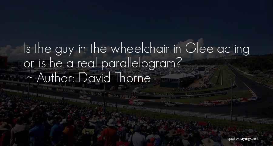 David Thorne Quotes: Is The Guy In The Wheelchair In Glee Acting Or Is He A Real Parallelogram?