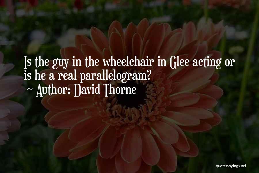 David Thorne Quotes: Is The Guy In The Wheelchair In Glee Acting Or Is He A Real Parallelogram?