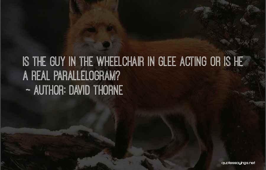 David Thorne Quotes: Is The Guy In The Wheelchair In Glee Acting Or Is He A Real Parallelogram?