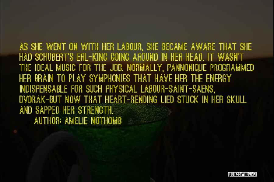 Amelie Nothomb Quotes: As She Went On With Her Labour, She Became Aware That She Had Schubert's Erl-king Going Around In Her Head.