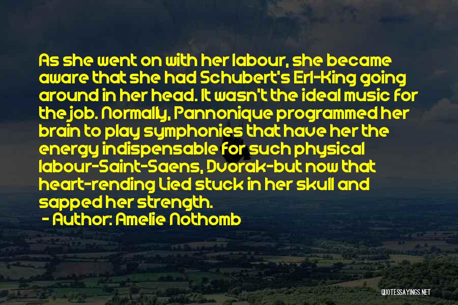 Amelie Nothomb Quotes: As She Went On With Her Labour, She Became Aware That She Had Schubert's Erl-king Going Around In Her Head.