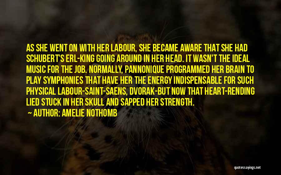 Amelie Nothomb Quotes: As She Went On With Her Labour, She Became Aware That She Had Schubert's Erl-king Going Around In Her Head.