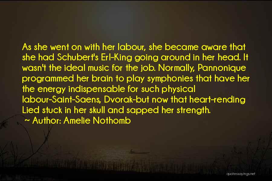 Amelie Nothomb Quotes: As She Went On With Her Labour, She Became Aware That She Had Schubert's Erl-king Going Around In Her Head.