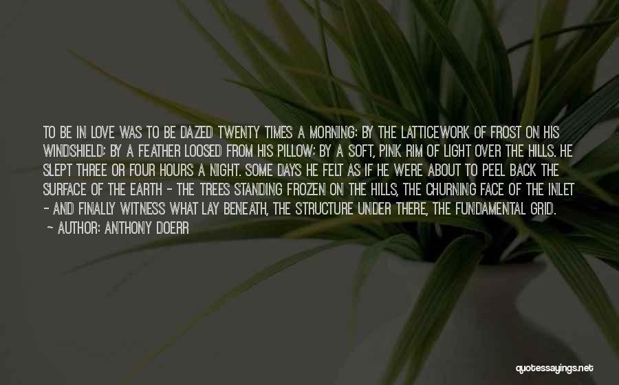 Anthony Doerr Quotes: To Be In Love Was To Be Dazed Twenty Times A Morning: By The Latticework Of Frost On His Windshield;