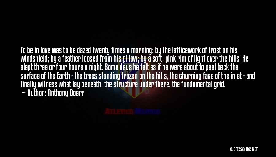 Anthony Doerr Quotes: To Be In Love Was To Be Dazed Twenty Times A Morning: By The Latticework Of Frost On His Windshield;