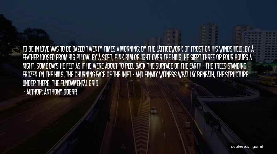 Anthony Doerr Quotes: To Be In Love Was To Be Dazed Twenty Times A Morning: By The Latticework Of Frost On His Windshield;