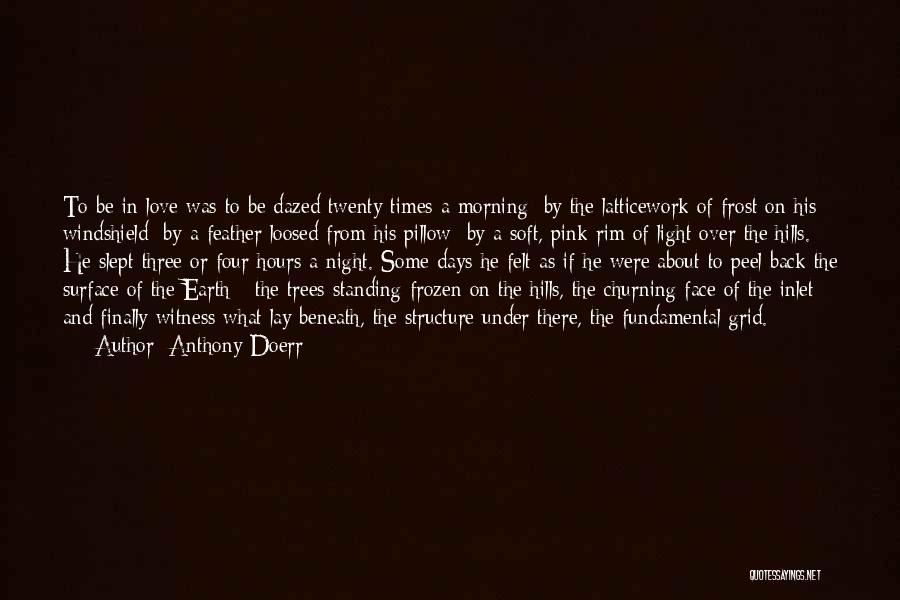 Anthony Doerr Quotes: To Be In Love Was To Be Dazed Twenty Times A Morning: By The Latticework Of Frost On His Windshield;