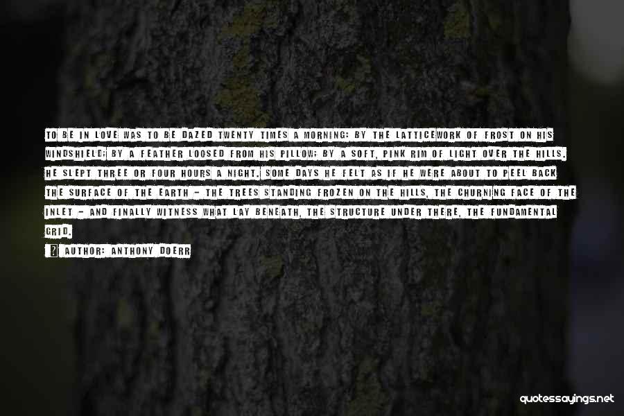 Anthony Doerr Quotes: To Be In Love Was To Be Dazed Twenty Times A Morning: By The Latticework Of Frost On His Windshield;