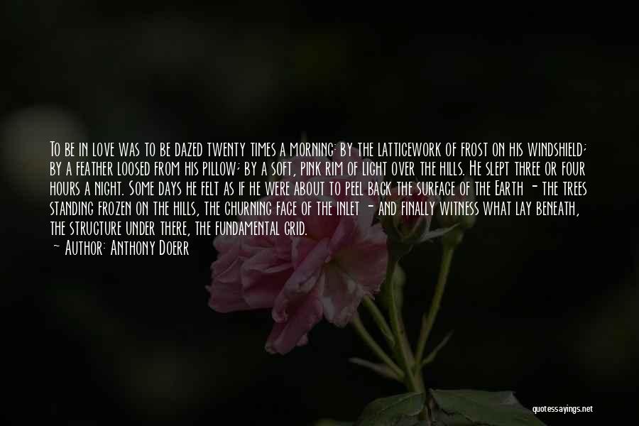 Anthony Doerr Quotes: To Be In Love Was To Be Dazed Twenty Times A Morning: By The Latticework Of Frost On His Windshield;