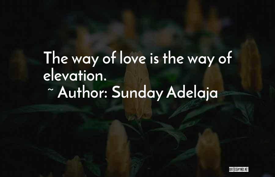 Sunday Adelaja Quotes: The Way Of Love Is The Way Of Elevation.
