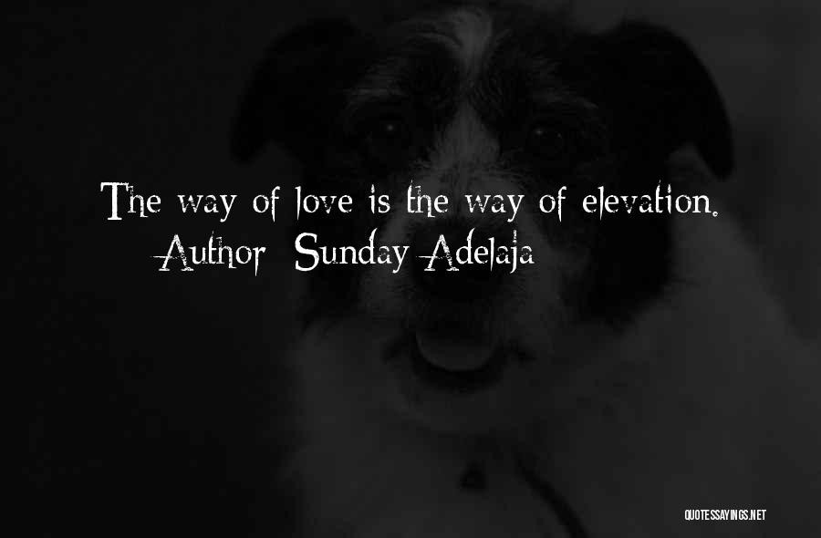 Sunday Adelaja Quotes: The Way Of Love Is The Way Of Elevation.