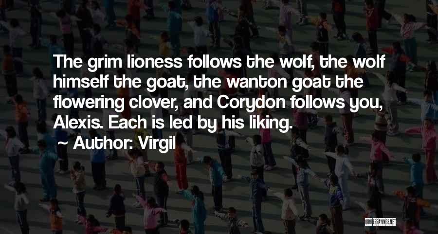 Virgil Quotes: The Grim Lioness Follows The Wolf, The Wolf Himself The Goat, The Wanton Goat The Flowering Clover, And Corydon Follows