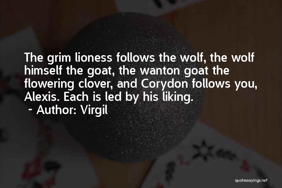 Virgil Quotes: The Grim Lioness Follows The Wolf, The Wolf Himself The Goat, The Wanton Goat The Flowering Clover, And Corydon Follows