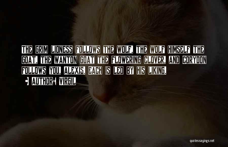 Virgil Quotes: The Grim Lioness Follows The Wolf, The Wolf Himself The Goat, The Wanton Goat The Flowering Clover, And Corydon Follows