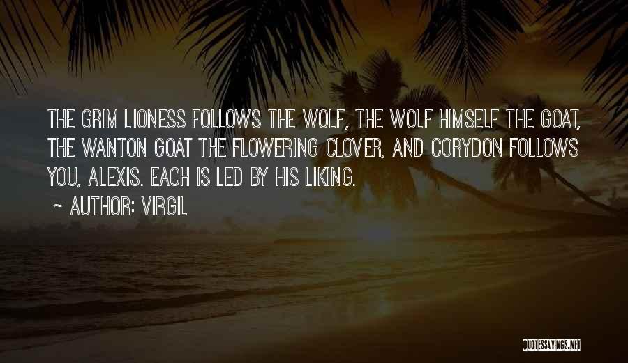 Virgil Quotes: The Grim Lioness Follows The Wolf, The Wolf Himself The Goat, The Wanton Goat The Flowering Clover, And Corydon Follows
