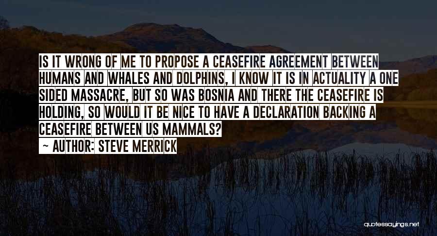 Steve Merrick Quotes: Is It Wrong Of Me To Propose A Ceasefire Agreement Between Humans And Whales And Dolphins, I Know It Is