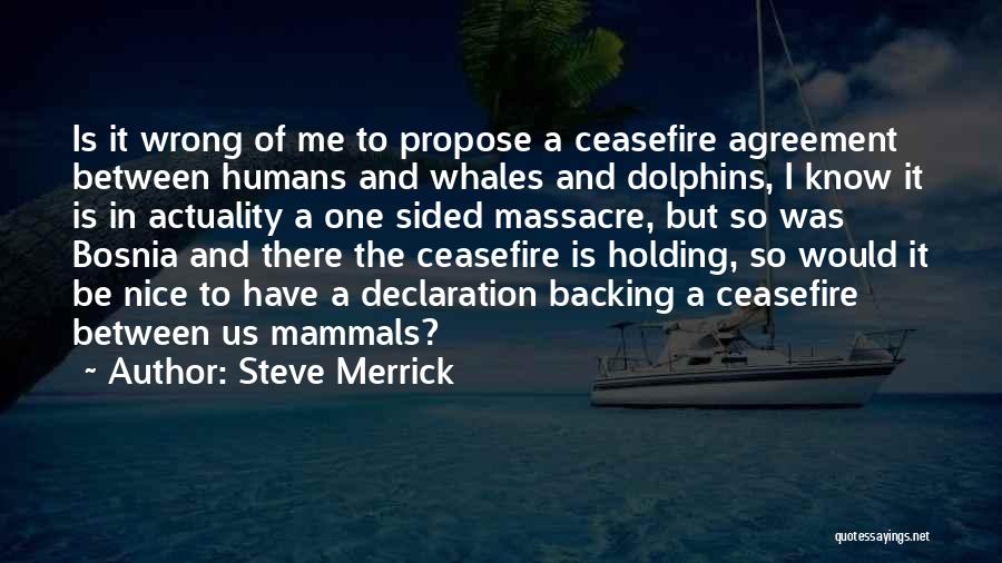 Steve Merrick Quotes: Is It Wrong Of Me To Propose A Ceasefire Agreement Between Humans And Whales And Dolphins, I Know It Is