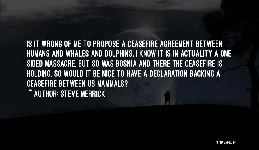 Steve Merrick Quotes: Is It Wrong Of Me To Propose A Ceasefire Agreement Between Humans And Whales And Dolphins, I Know It Is