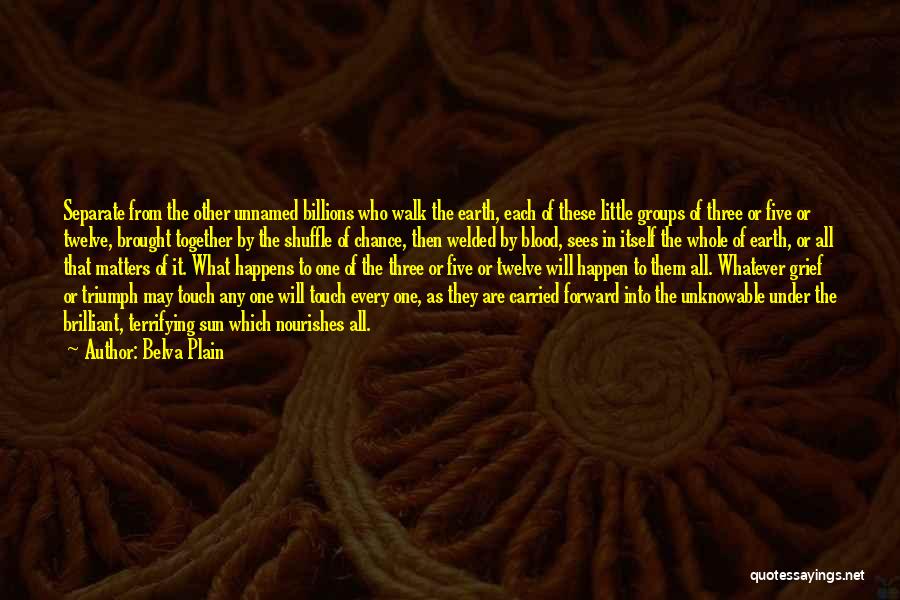 Belva Plain Quotes: Separate From The Other Unnamed Billions Who Walk The Earth, Each Of These Little Groups Of Three Or Five Or