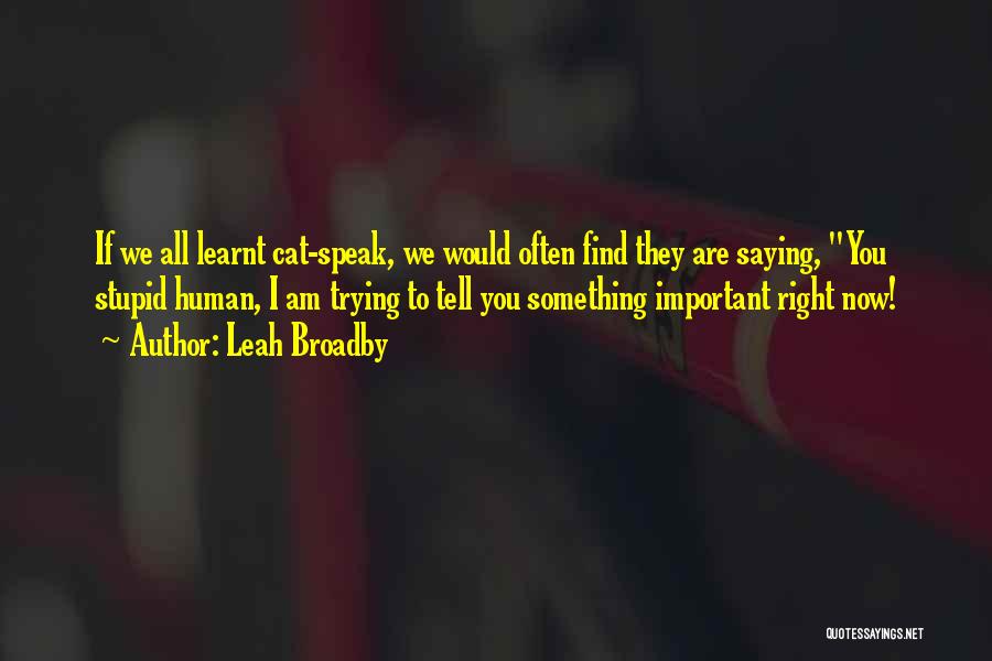 Leah Broadby Quotes: If We All Learnt Cat-speak, We Would Often Find They Are Saying, You Stupid Human, I Am Trying To Tell